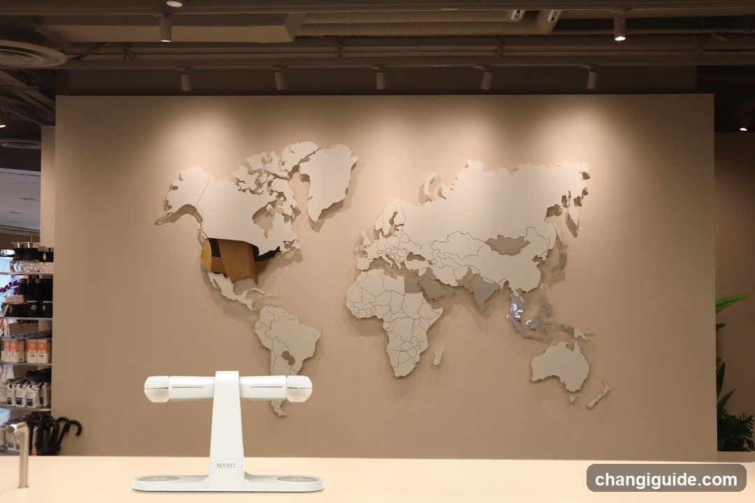 World Map Display