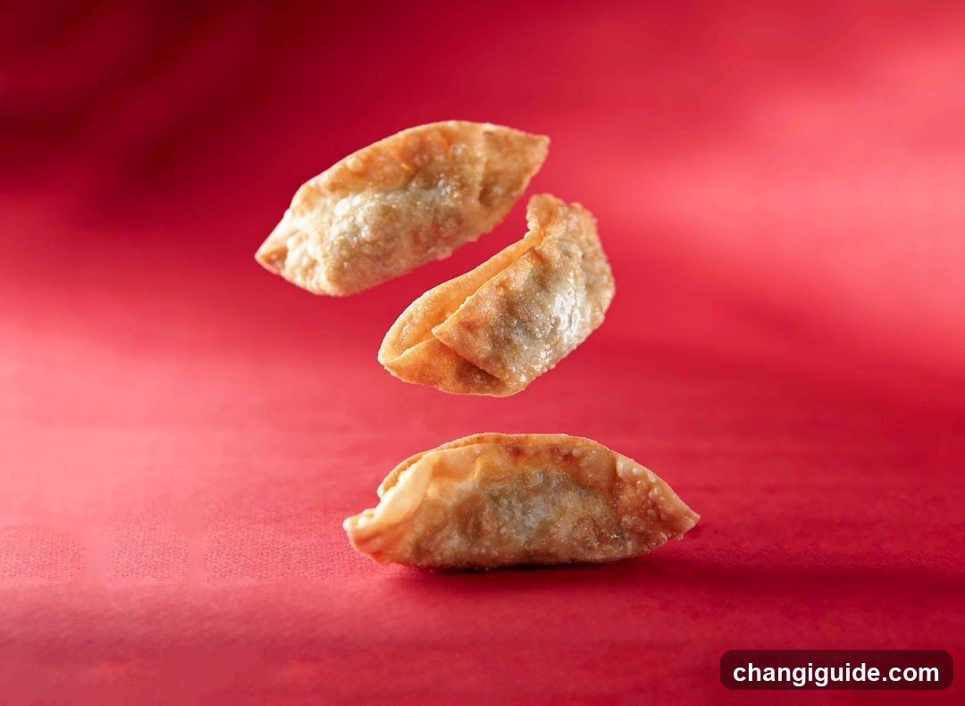 Old Chang Kee