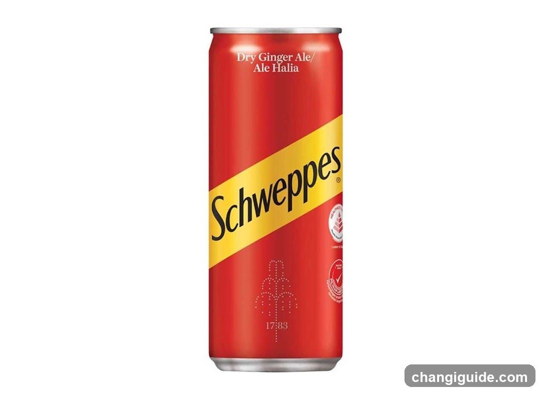 Schweppes Dry Ginger Ale Can