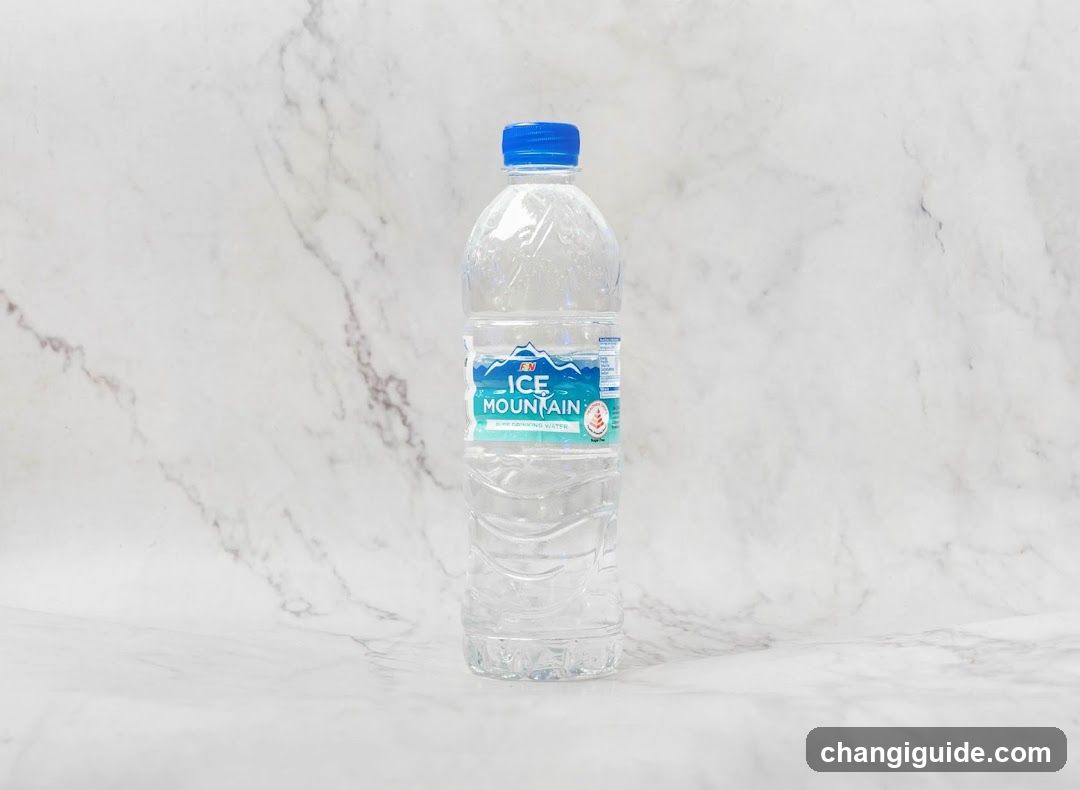 Bottle of Ice Mountain Water