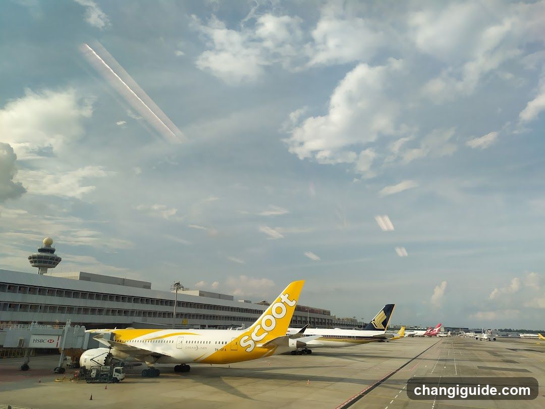 Airport Tarmac with Scoot Aircraft