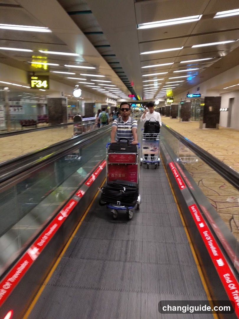 Airport Terminal Interior with Moving Walkway