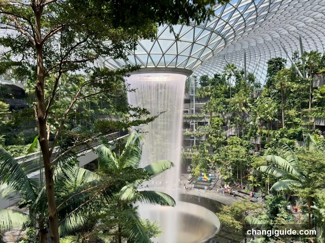 Indoor Waterfall Garden