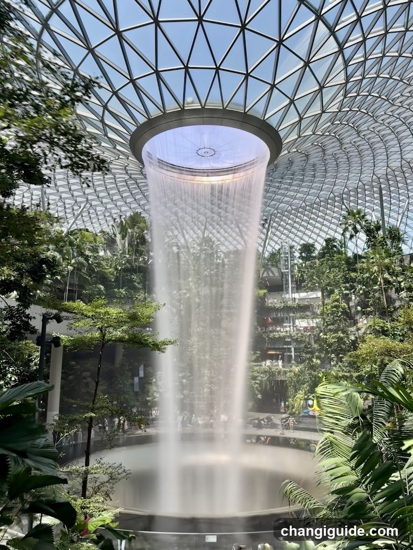 Indoor Waterfall in a Tropical Setting