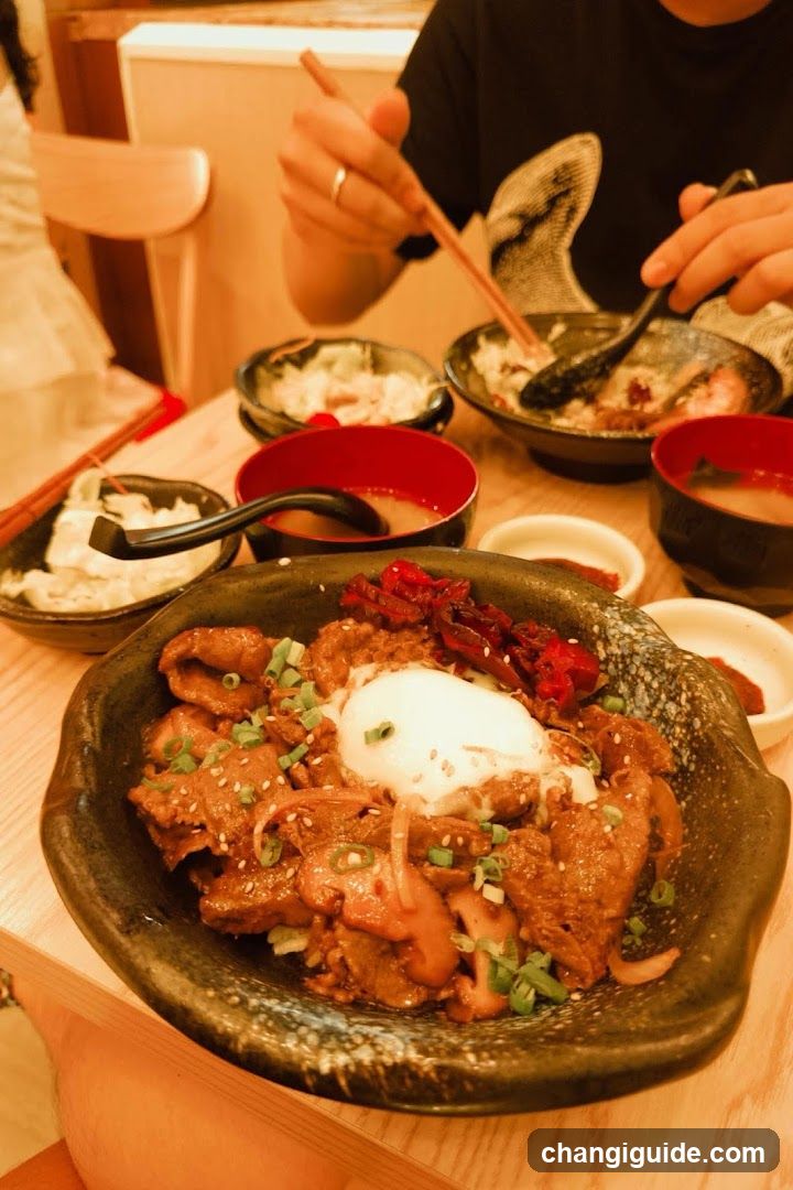 Bowl of Beef Rice with Egg