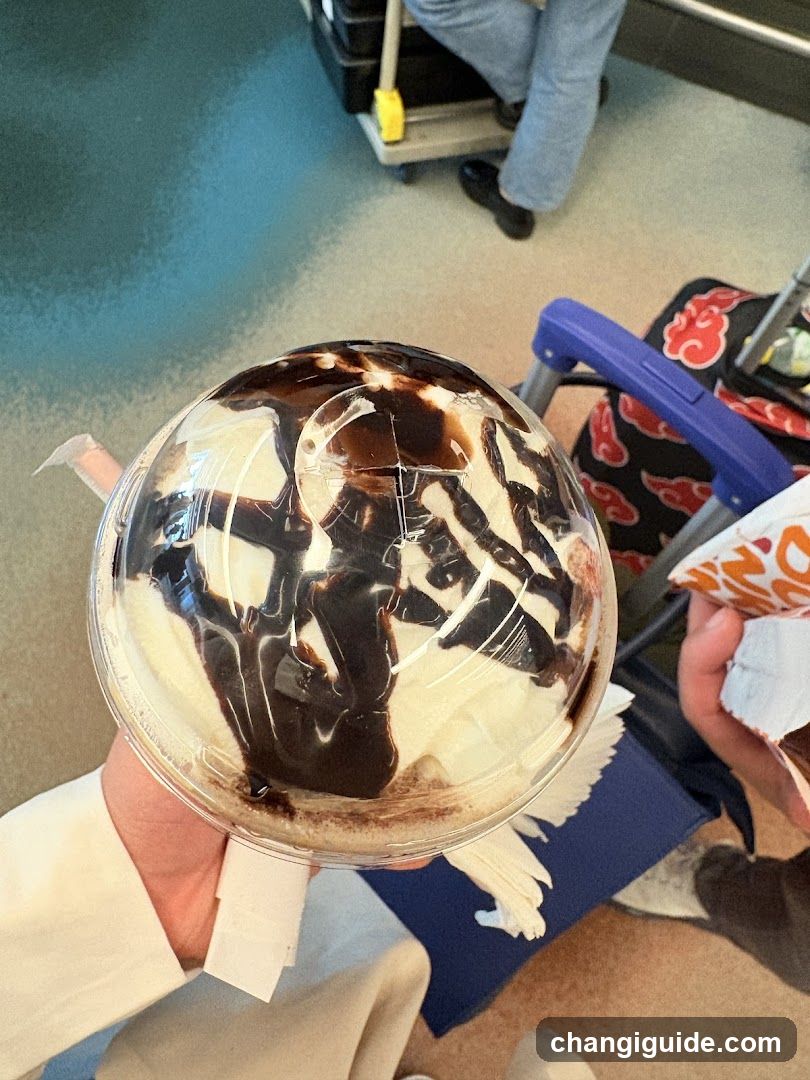 Ice Cream Sundae with Chocolate Syrup