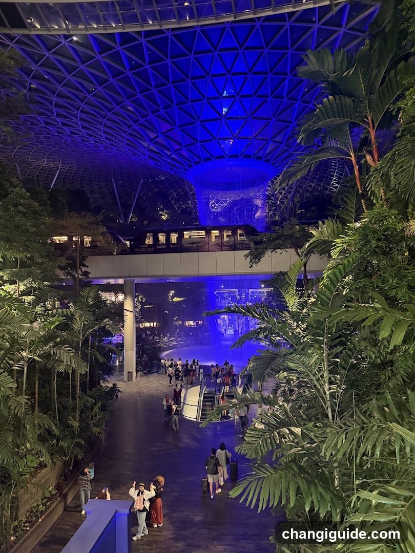 Indoor Garden with Blue Lighting