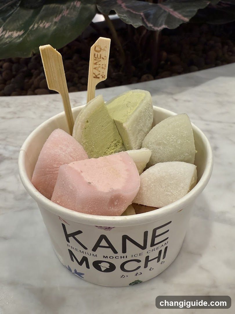 KANE MOCHI