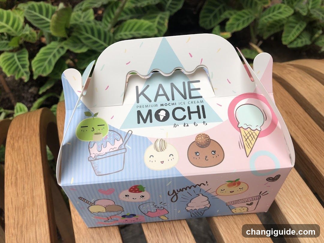 Kane Mochi Ice Cream Box