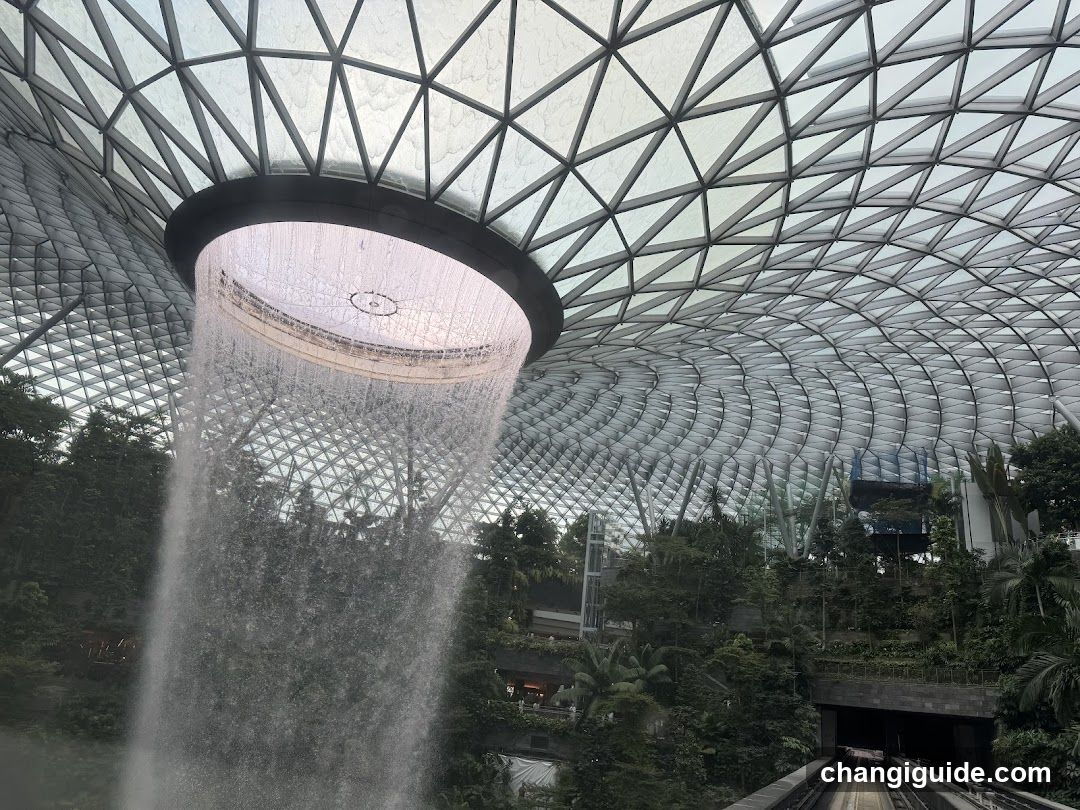 Cloud Forest Waterfall