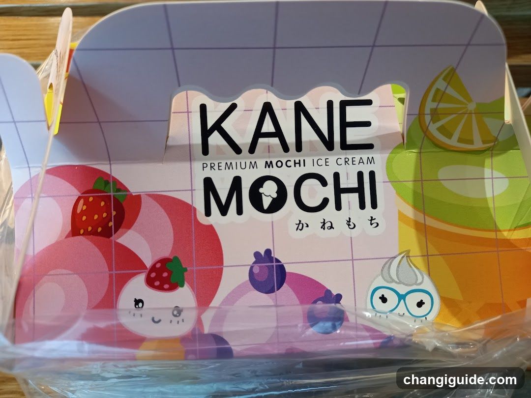 Kane Mochi Ice Cream Box