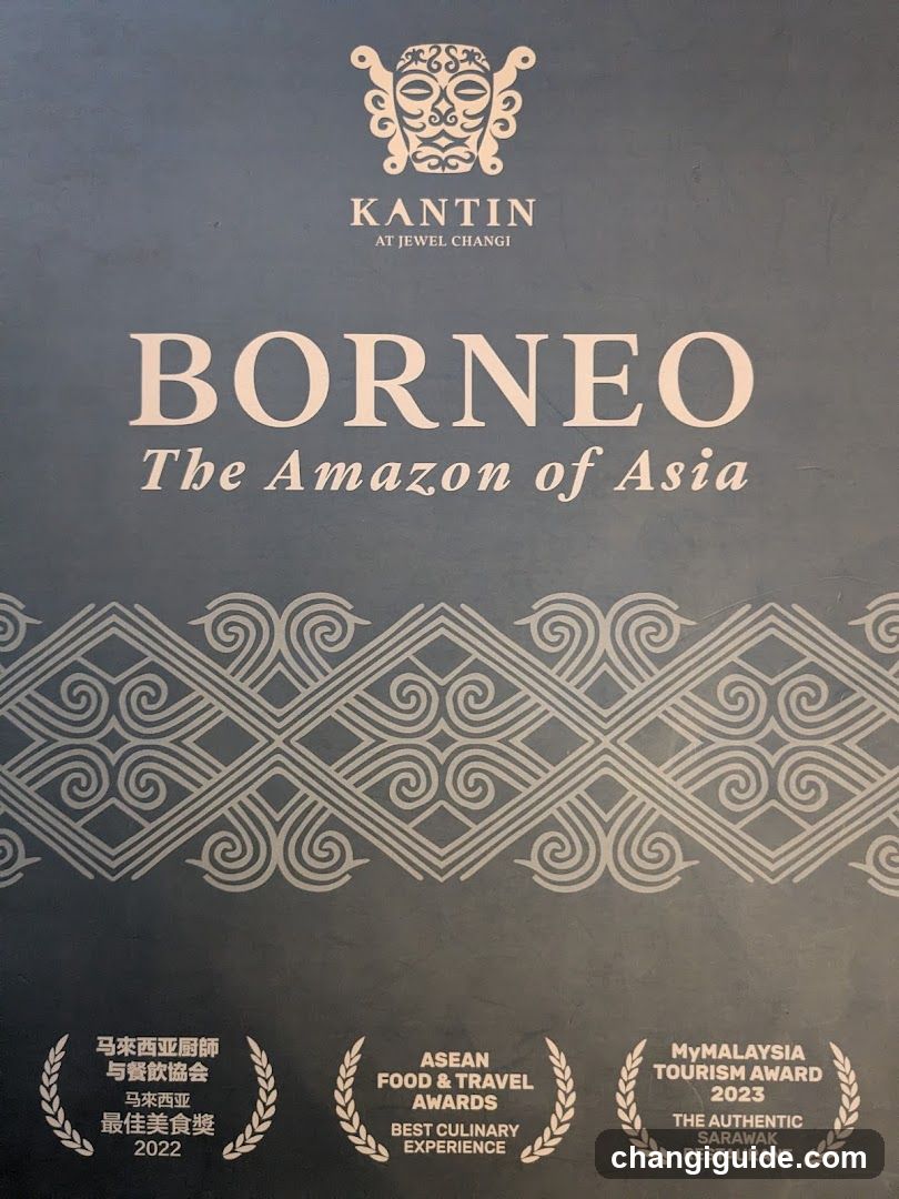 Borneo - The Amazon of Asia