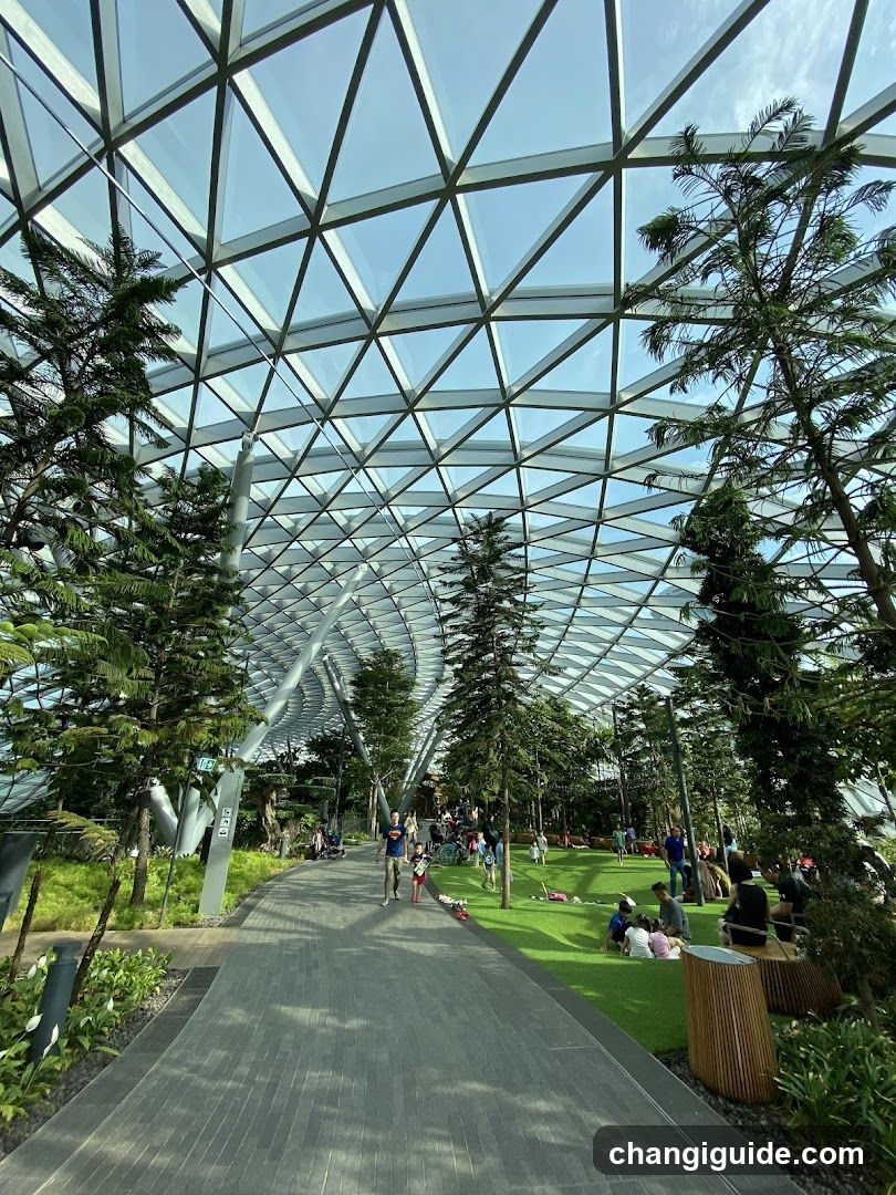 Canopy Park - Jewel Changi