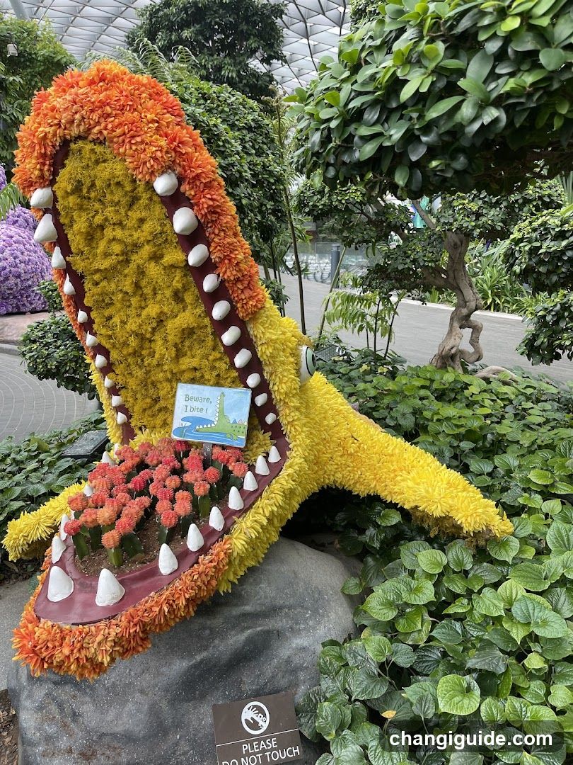 Flower Shoe Display