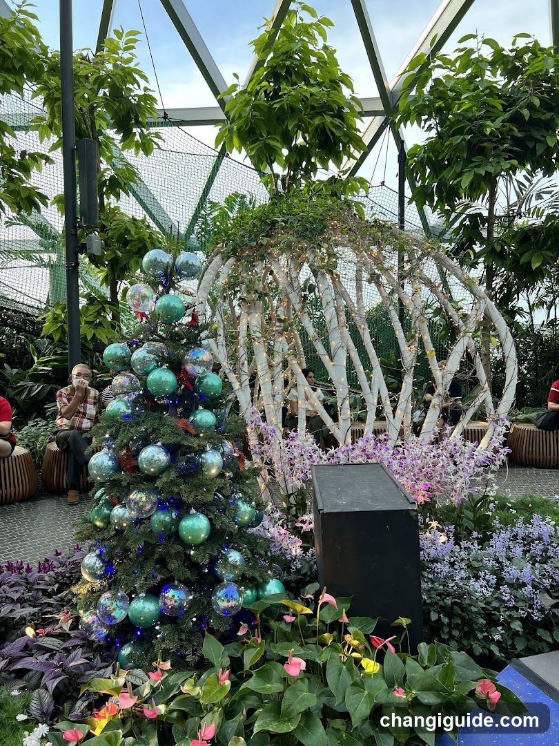 Christmas Tree Display in Greenhouse