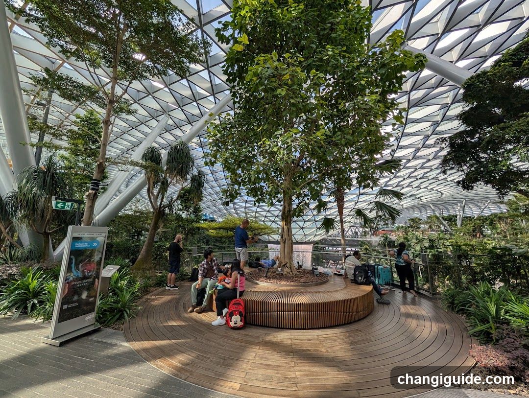 Indoor Garden Scene with People Relaxing