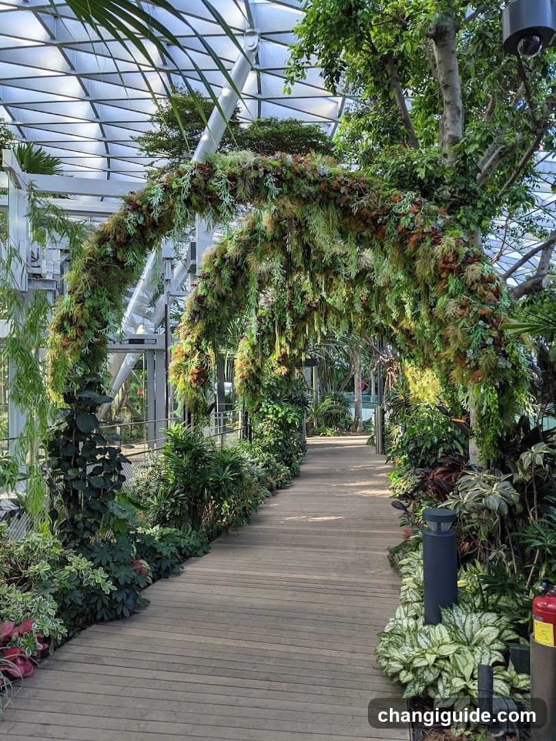 Botanical Garden Pathway