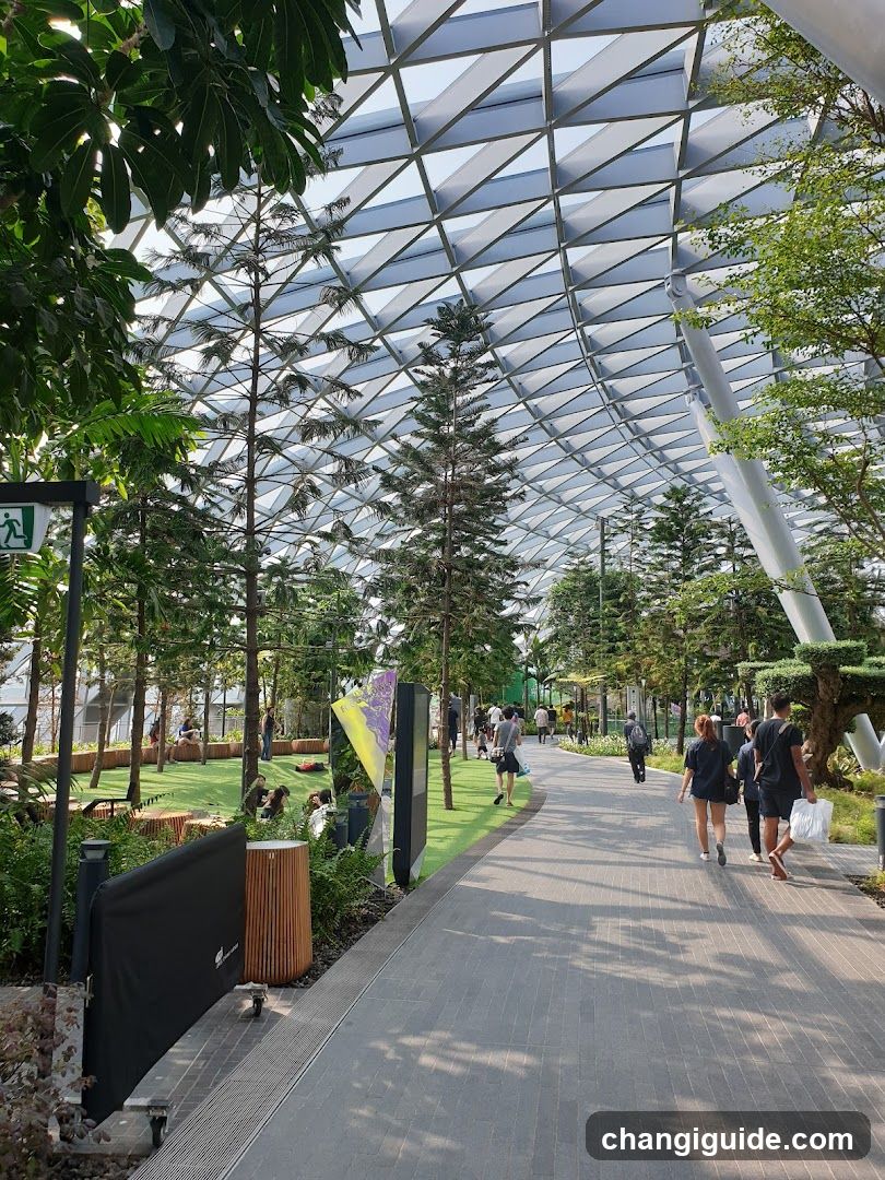 Indoor Garden Walkway