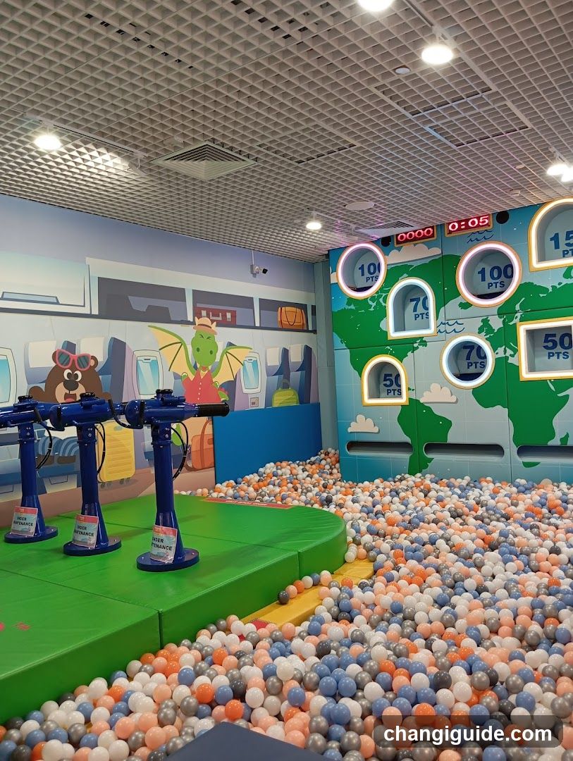 Indoor Play Area with Ball Pit and Shooting Game