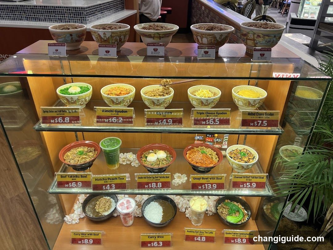 Ramen Display Case