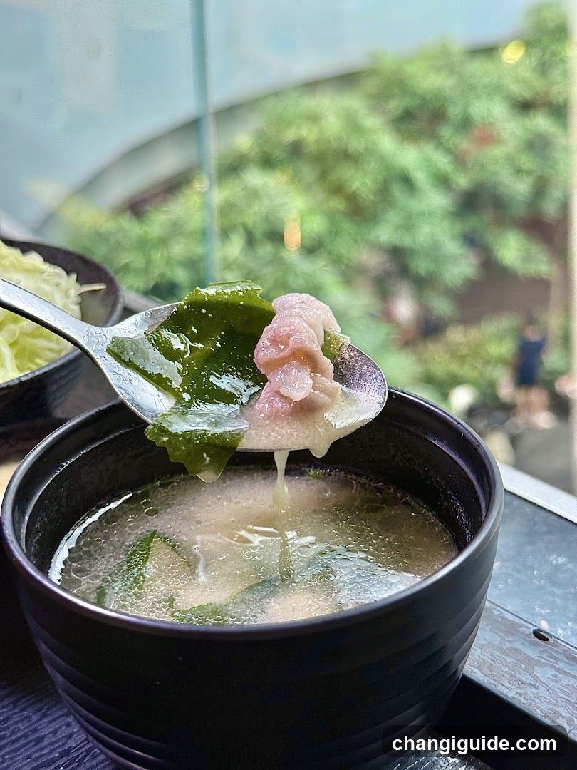 Soup with Wontons and Seaweed