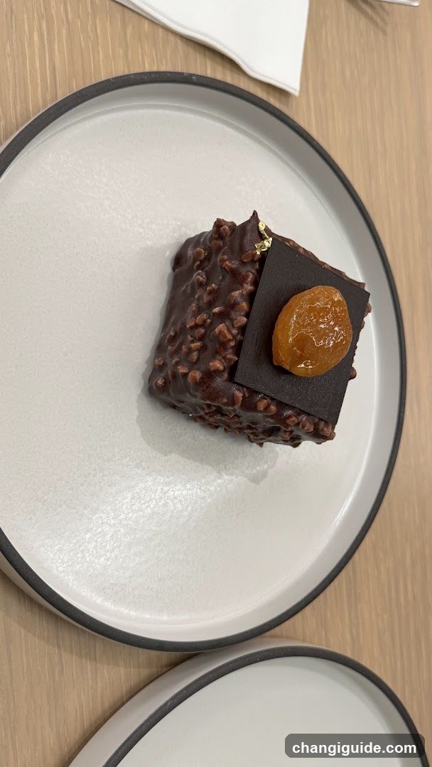 Chocolate Dessert with Prune