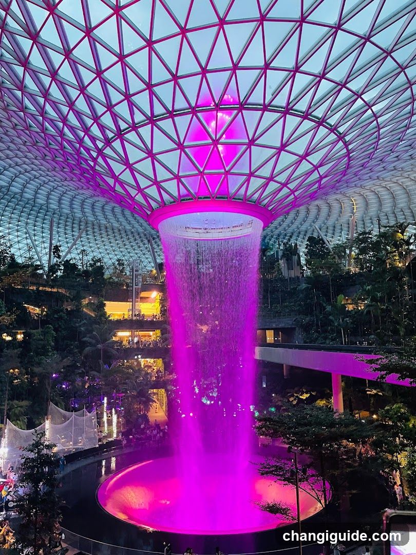 Supertree Grove at Gardens by the Bay