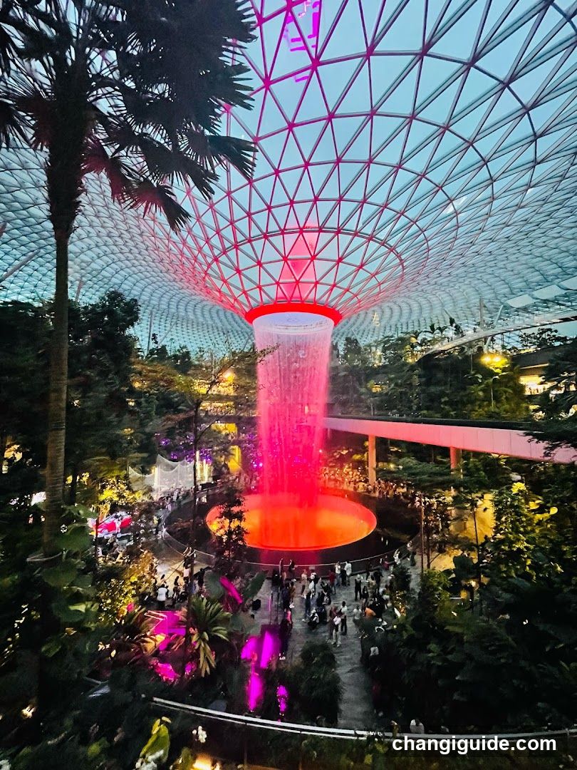 Supertree Grove at Jewel Changi