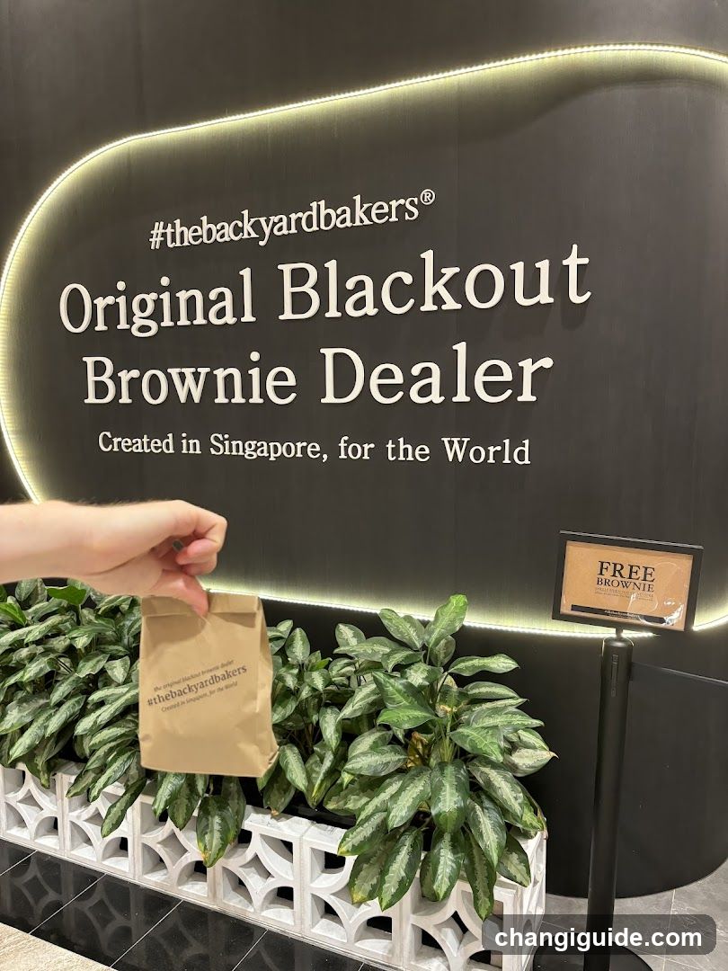 #thebackyardbakers Original Blackout Brownie Dealer