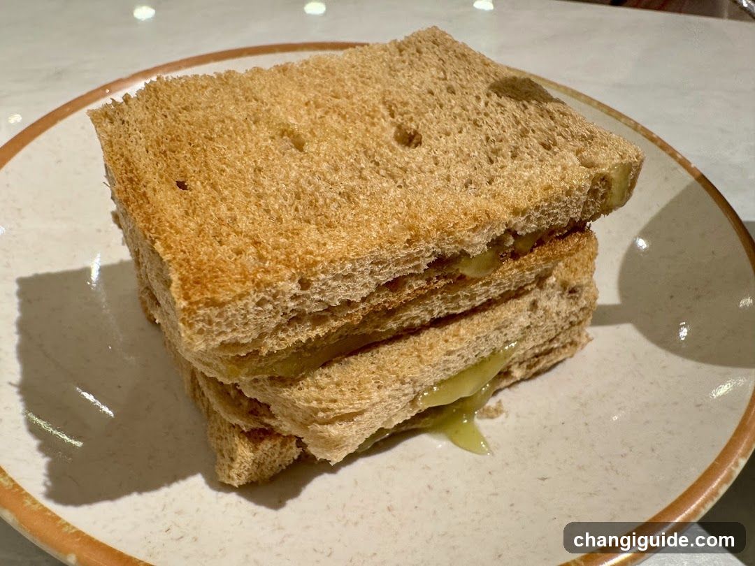 Toasted Sandwich with Melted Cheese
