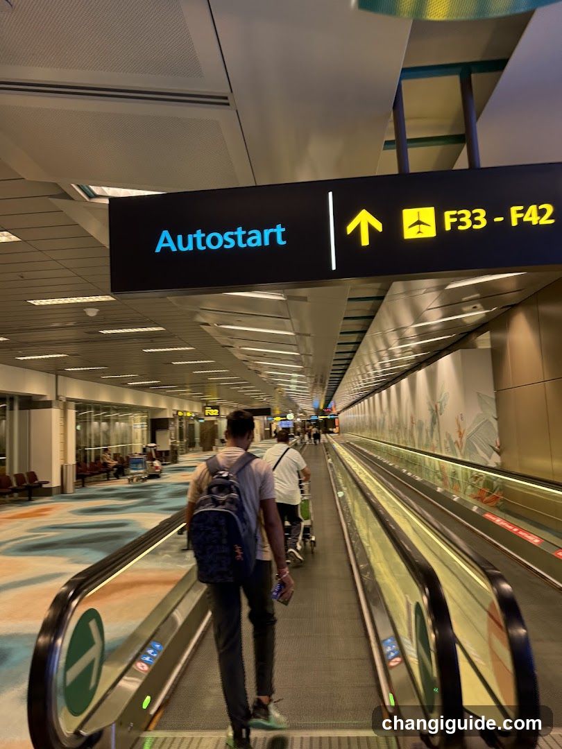 Airport Terminal Walkway