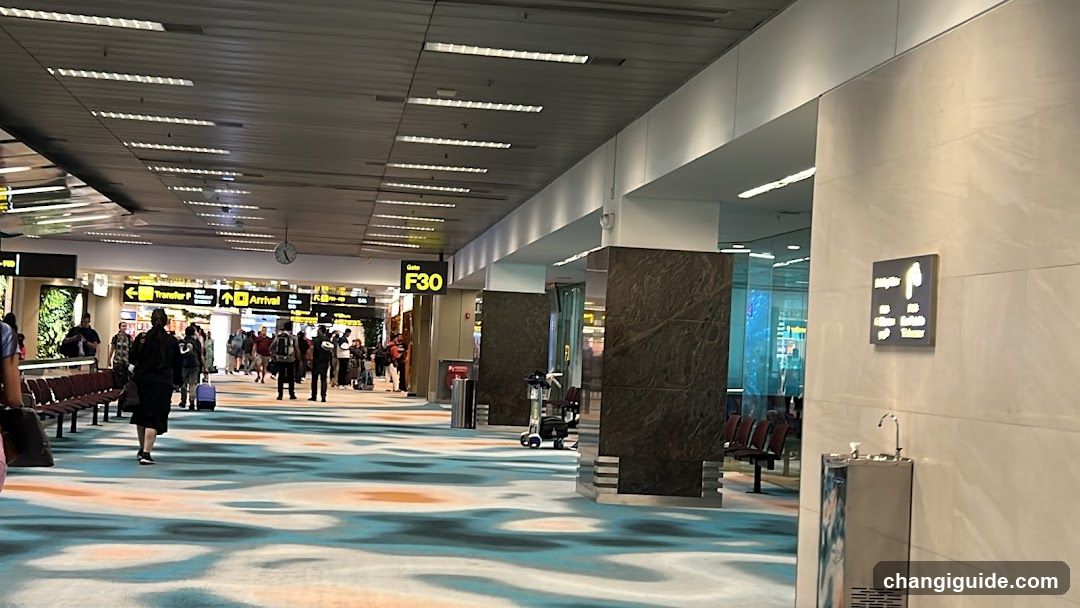 Airport Terminal Interior