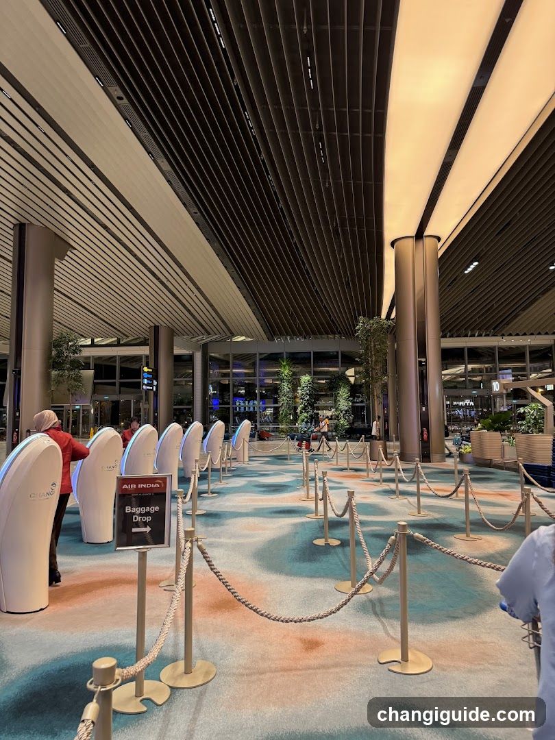 Airport Baggage Drop Area