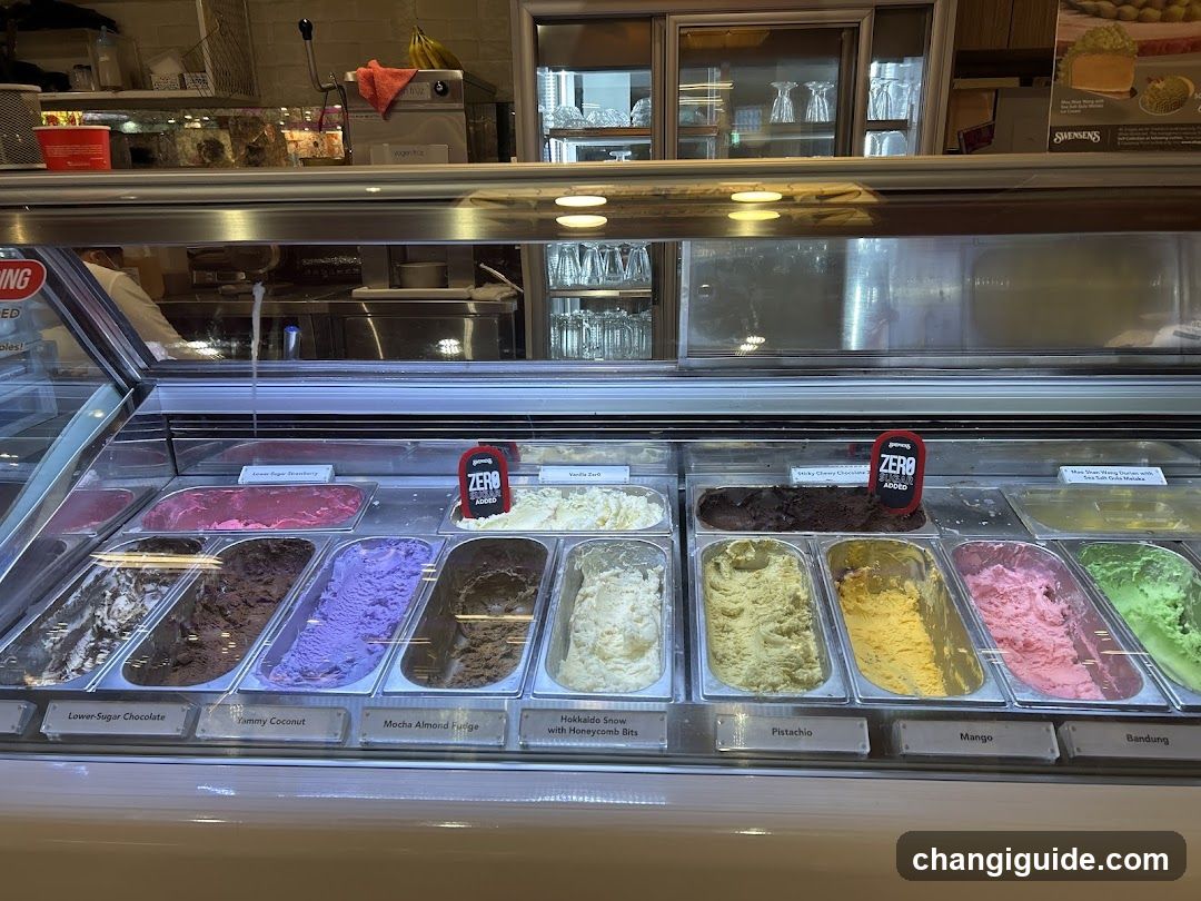 Gelato Display Case