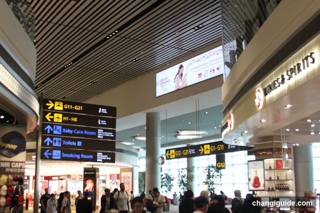 Airport Terminal Interior