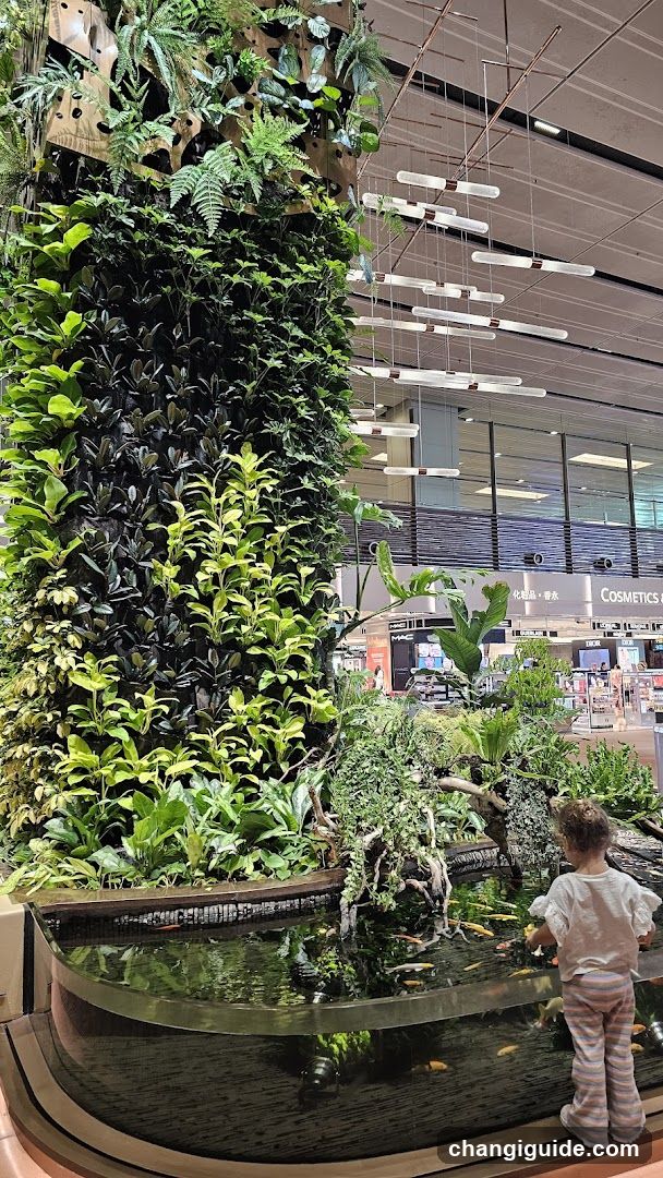 Indoor Garden with Fish Pond
