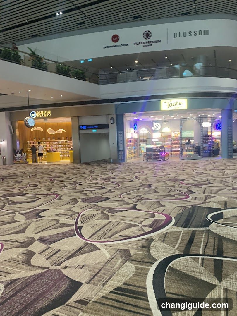 Airport Terminal Interior