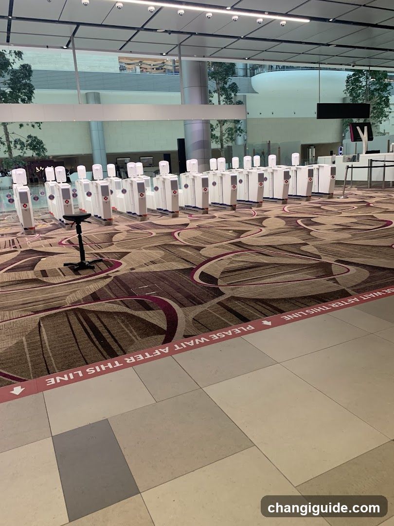 Airport Security Checkpoint Area