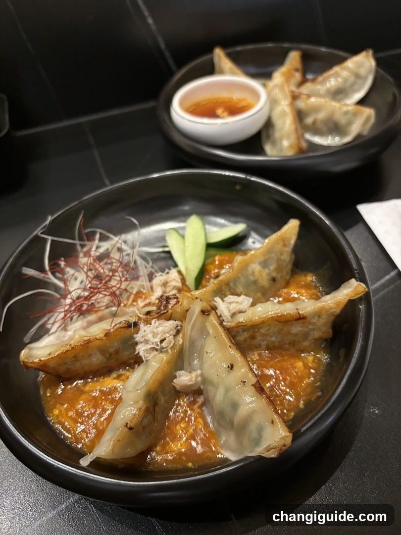 Gyoza with Sauce and Garnish