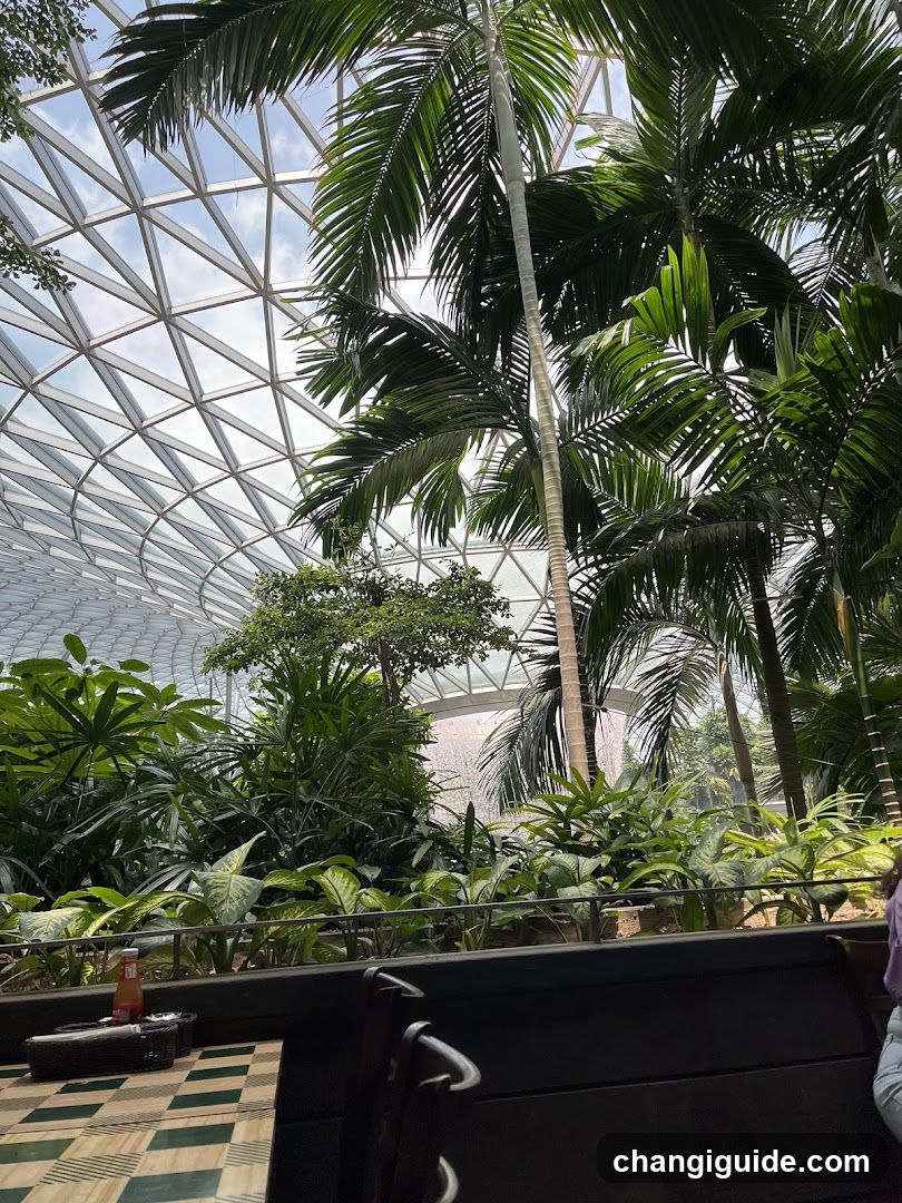 Indoor Tropical Garden View