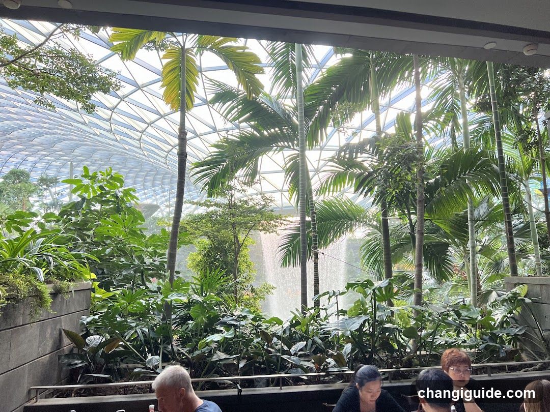 Indoor Garden View from Restaurant