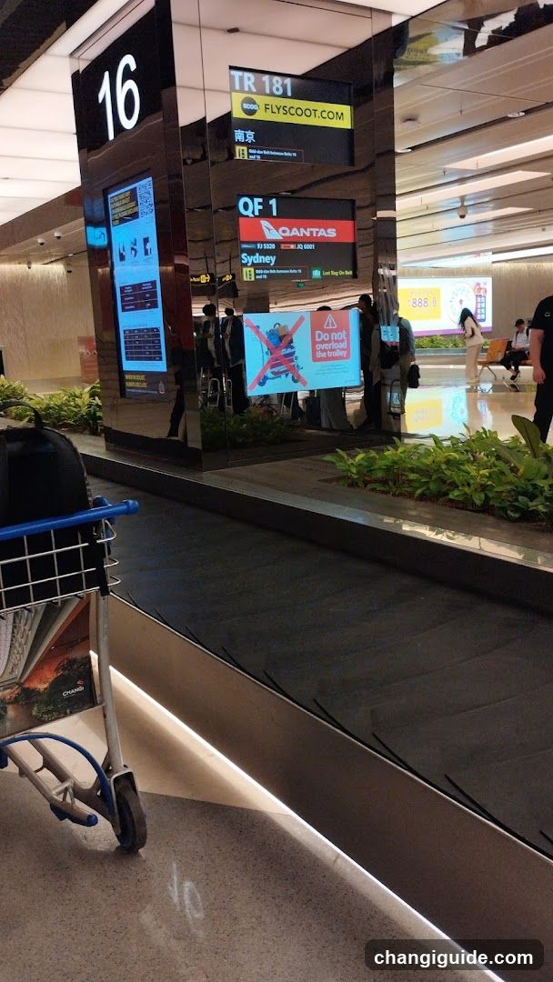 Interior view of an airport baggage claim hall, showing a conveyor belt with luggage carts nearby. Digital screens display flight information including Qantas to Sydney and FlyScoot to Nanjing. A safety sign warns against overloading the trolley. Greenery lines the walkway.