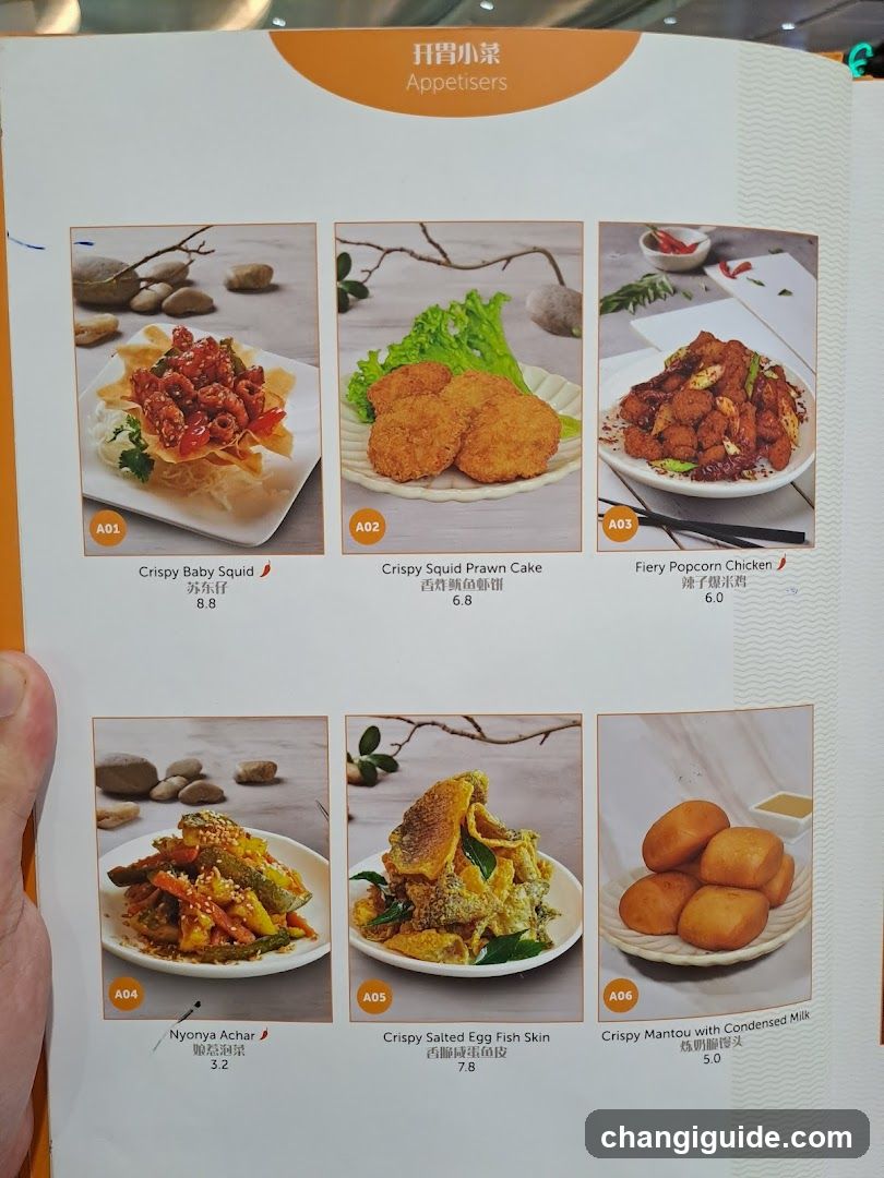 Appetisers Menu Page