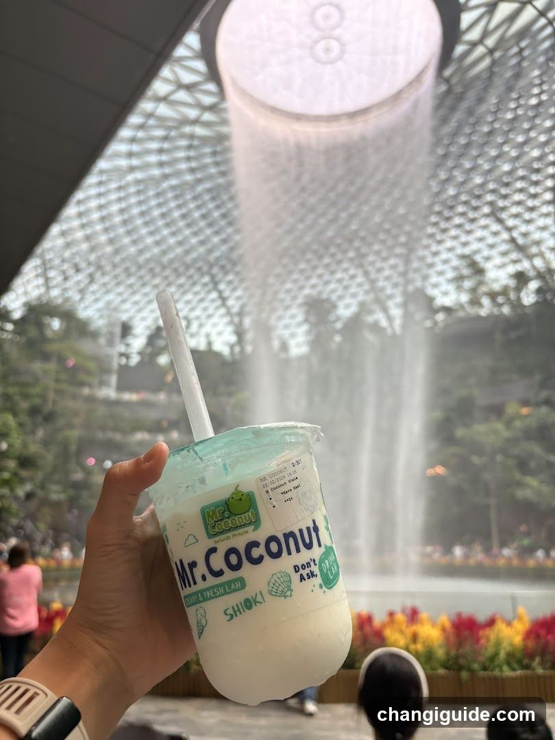 Mr Coconut (Jewel Changi Airport)