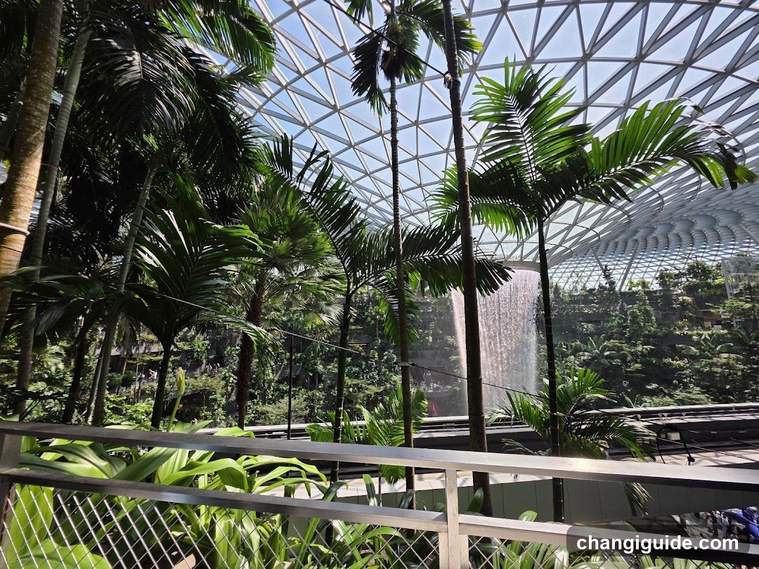 Indoor Tropical Garden with Waterfall