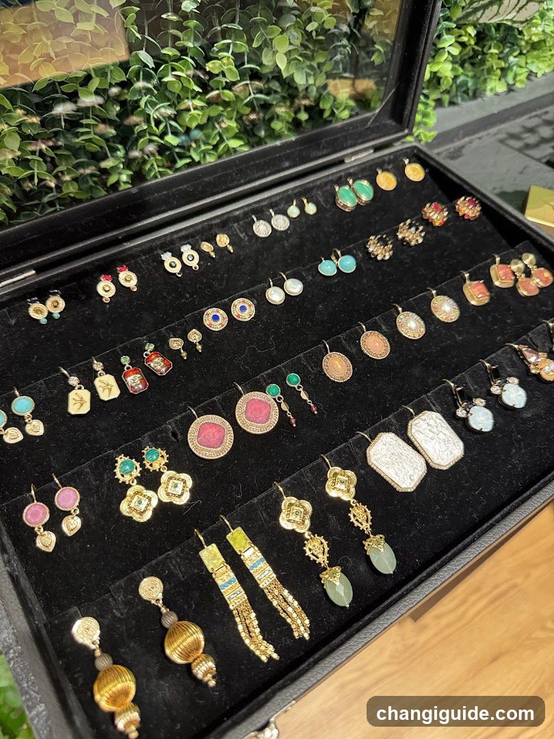 Earring Display Case