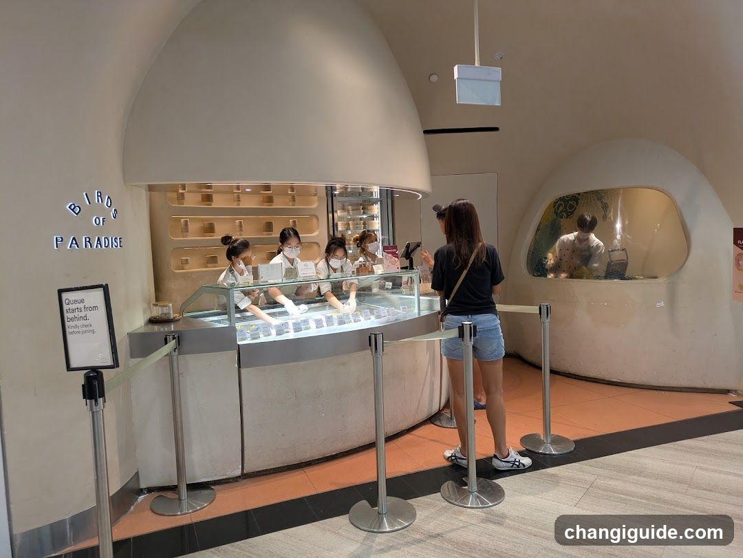 Bird of Paradise Shop Interior