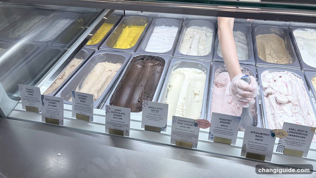 Gelato Display Case
