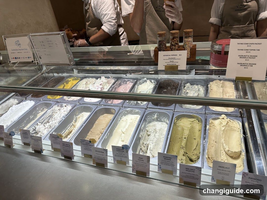 Gelato Display Case