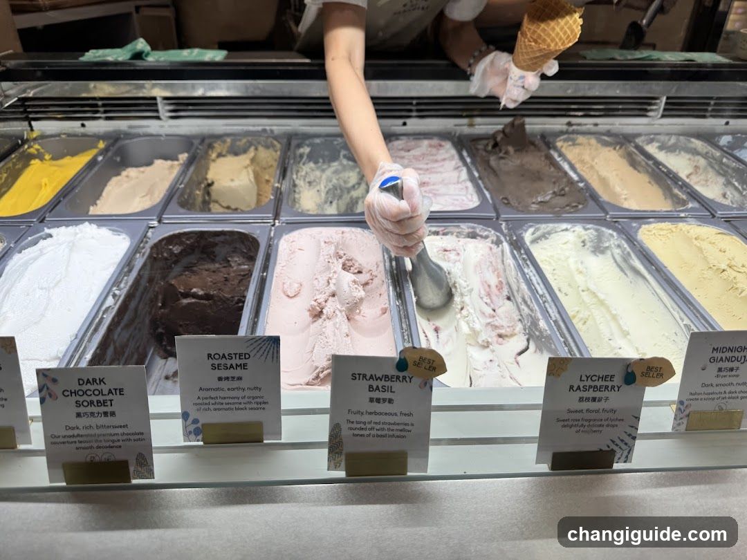 Ice Cream Display Case